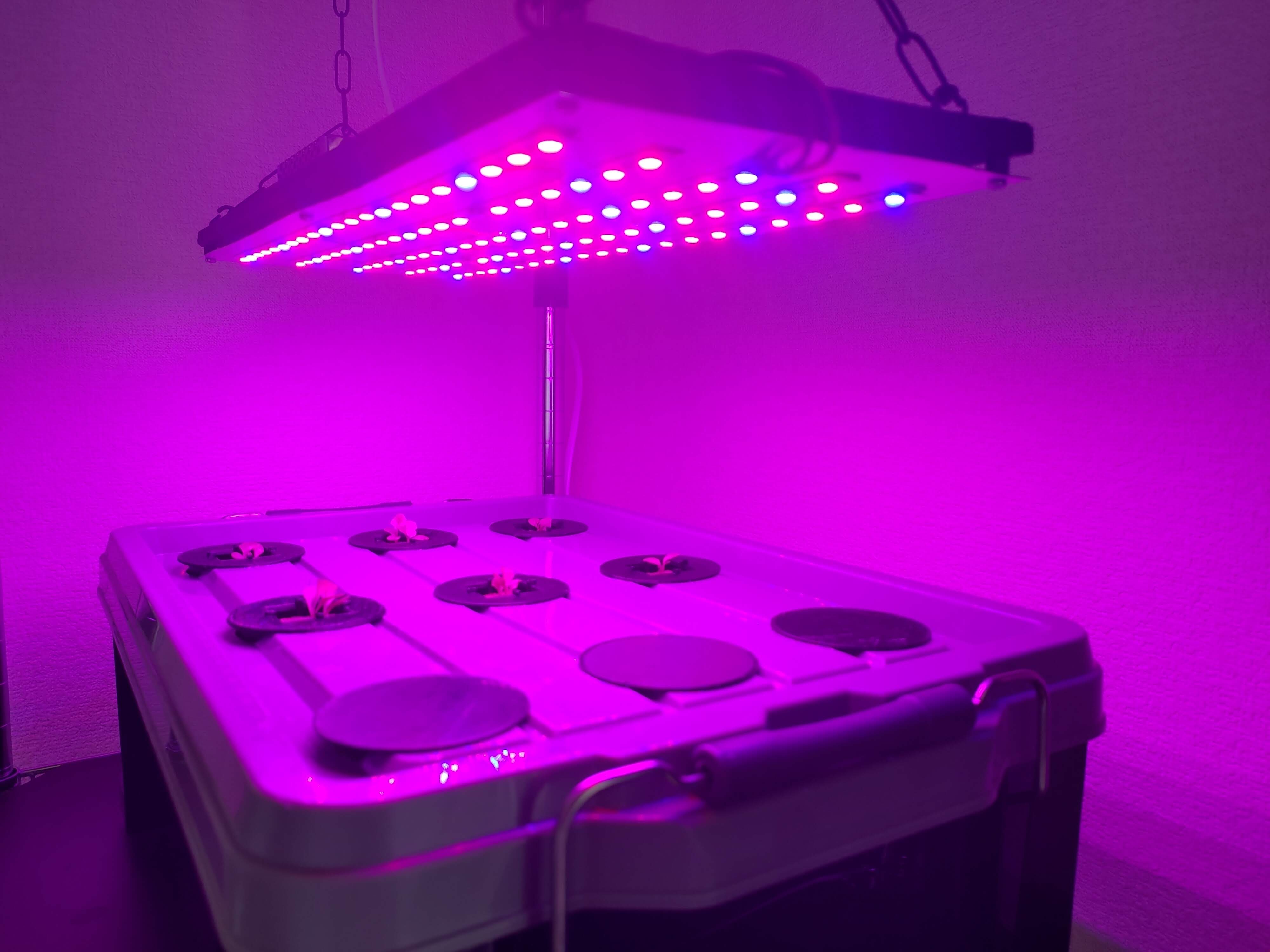 DWC hydroponics system thumbnail